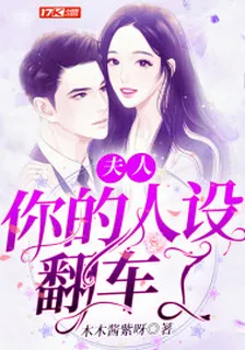 夫人你的人設翻車了 封面
