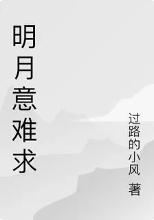 明月意難求 封面