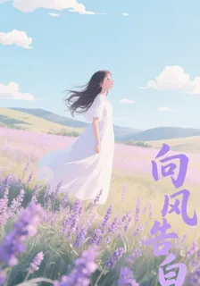 向風告白 封面