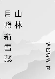 月照霜雪藏山林 封面