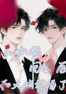 小少爺回國後，和大佬訂婚了 封面