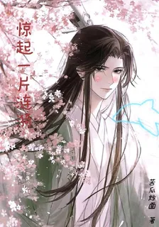 驚起一片漣漪 封面