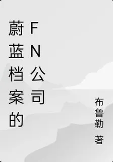 蔚藍檔案的FN公司 封面