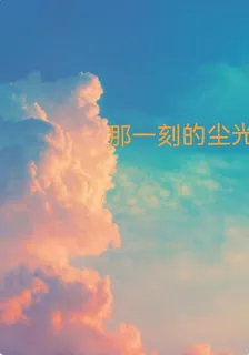 那一刻的塵光 封面