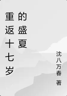 重返十七歲的盛夏 封面