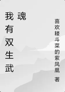 我有雙生武魂 封面