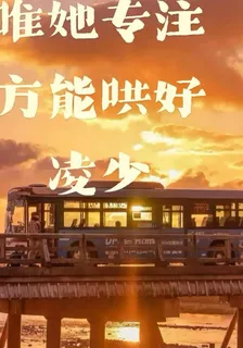 唯僅專注他一人，才能哄好凌少 封面