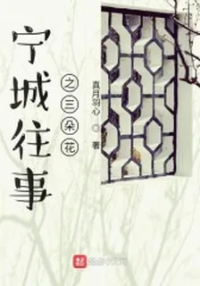 寧城往事之三朵花 封面