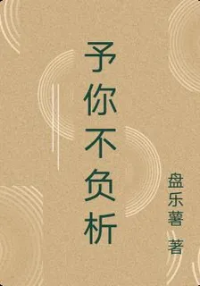 予你不負析 封面