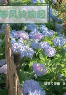 等風鈴響起 封面