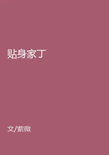 貼身家丁 封面