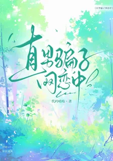 直男騙子網戀中 封面