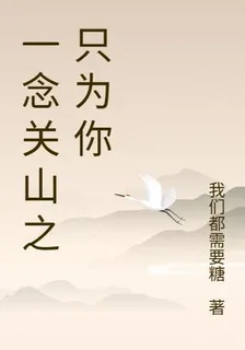 一念關山之只爲你 封面