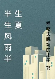 半生風雨半生夏 封面