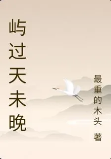 嶼過天未晚 封面