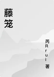 藤籠 封面