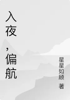 入夜，偏航 封面