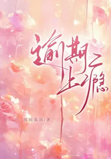 逾期上癮 封面
