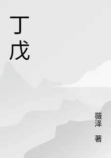 丁戊 封面