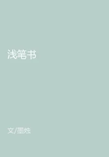 淺筆書 封面