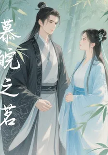 慕皖之茗 封面