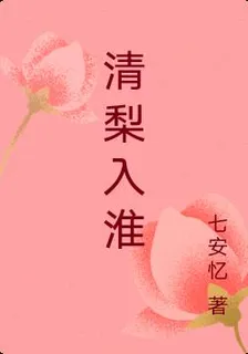 清梨入淮 封面