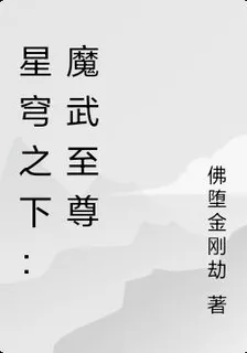 星穹之下：魔武至尊 封面