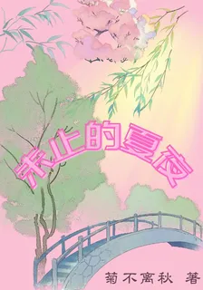未止的夏夜 封面