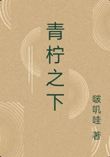 青檸之下 封面