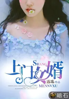 上门女婿 封面