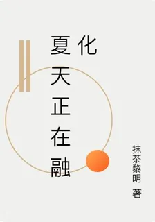 夏天正在融化 封面