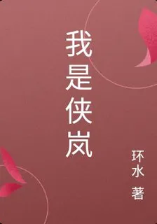 我是俠嵐 封面