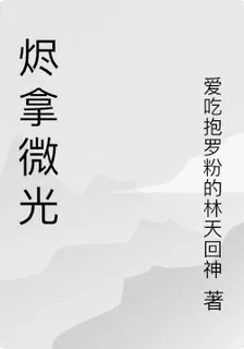 燼拿微光 封面