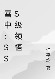 雪中：sss級領悟 封面