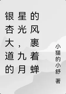 銀杏大道的星光 封面