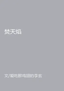 焚天焰 封面