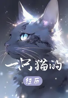 一隻貓的經歷 封面