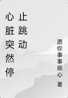 心臟突然停止跳動 封面