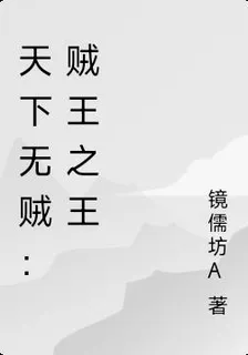 天下無賊：賊王之王 封面