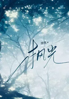 楓光 封面