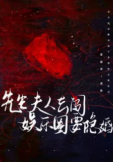 先生，夫人去闖娛樂圈要隱婚 封面