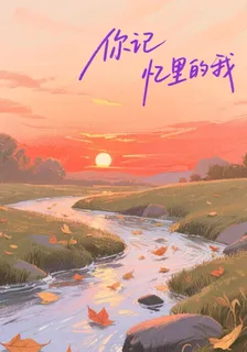 你記憶中的我 封面