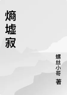 熵墟寂 封面