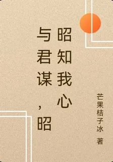 與君謀，昭昭知我心 封面