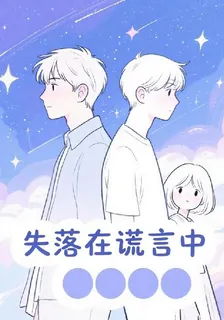 失落在謊言中 封面