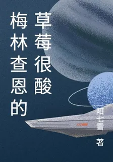 梅林查恩的草莓很酸 封面