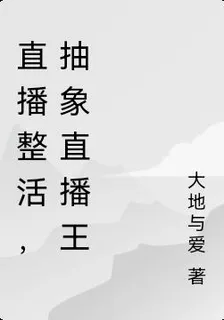 直播整活，抽象直播王 封面