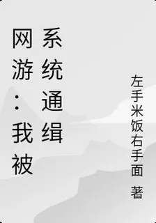 網遊：我被系統通緝 封面