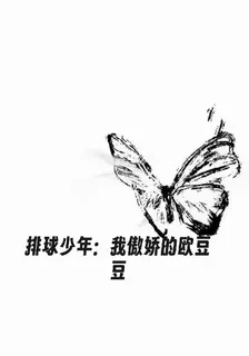 排球少年：我傲嬌的歐豆豆 封面