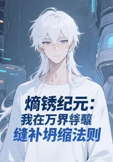 熵鏽紀元：我在萬界縫補坍縮法則 封面